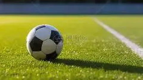 徐梦桃分享重返赛场感悟：热爱赛道，期望为国再创佳绩